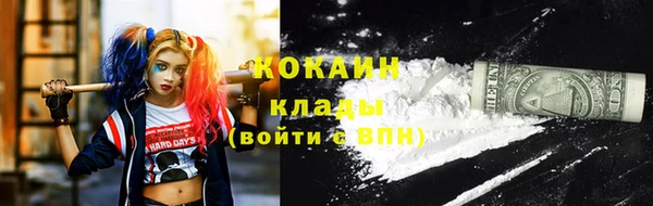 спайс Гусь-Хрустальный