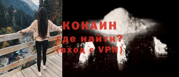 спайс Гусь-Хрустальный