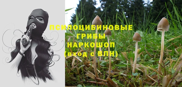 мдма Гусиноозёрск