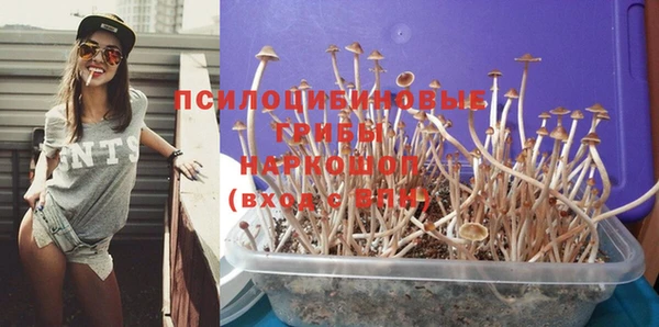 меф Гусев