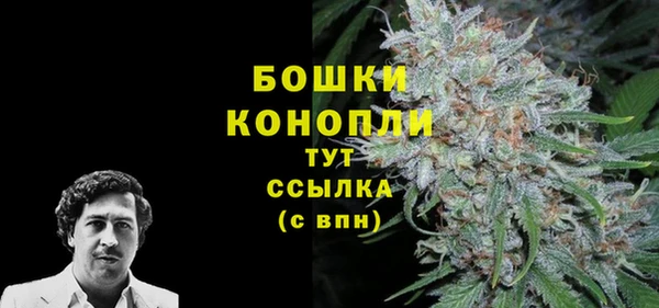 дживик Дмитровск