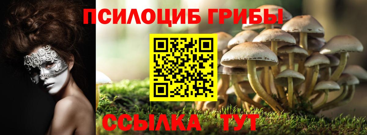 Галлюциногенные грибы Cubensis Чита