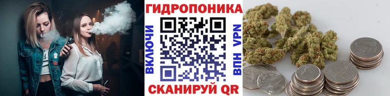 omg сайт Чита Бошки марихуана VHQ